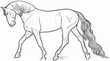 Trot Coloring Comments Mustang Trotting sketch template