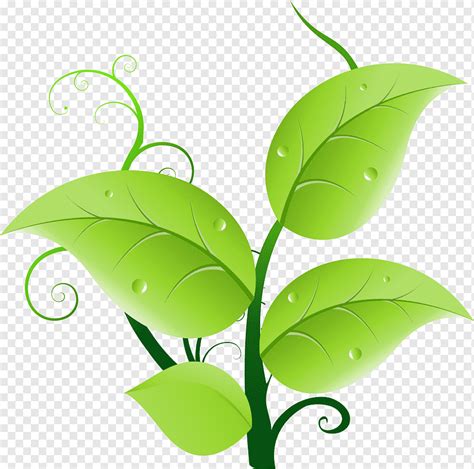 hoja verde hojas verdes tallo de la planta dibujos animados posdata encapsulada png pngwing