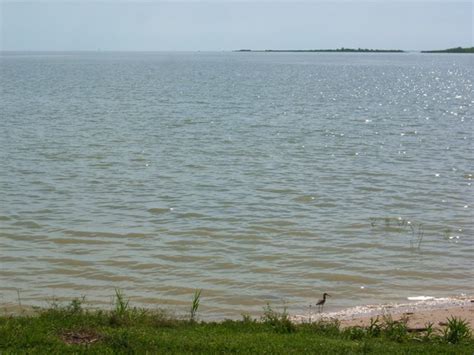 anahuac tx trinity bay photo picture image texas at