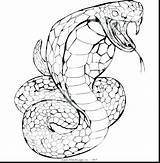 Coloring Pages Rattlesnake Snake Color Realistic Diamondback Viper Sea Getcolorings Getdrawings Printable Colorings Python Ball sketch template