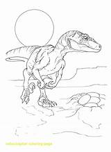 Velociraptor Coloring Pages Getcolorings sketch template