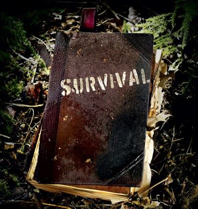 survival survival  adventurer