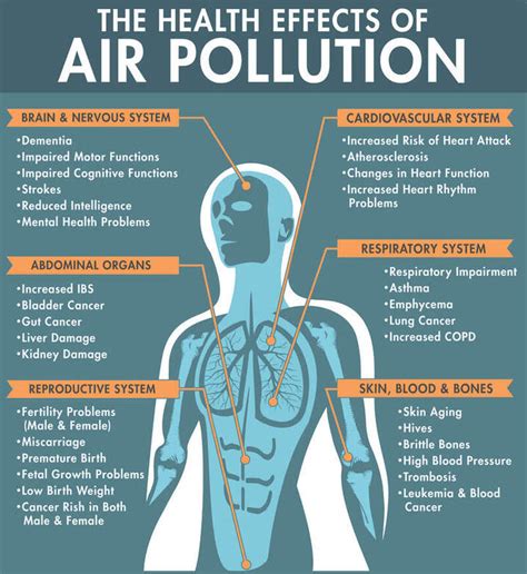 canada commercial air purifier  offices eliminates dust viruses