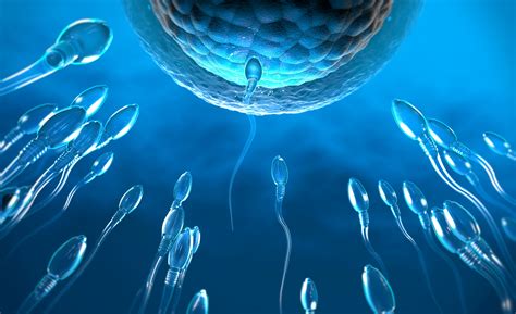 infertilidad masculina fertilidad del hombre esterilidad masculina