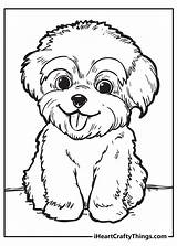 Makes Iheartcraftythings Panting Energetic Eyebrows Pup Silly sketch template