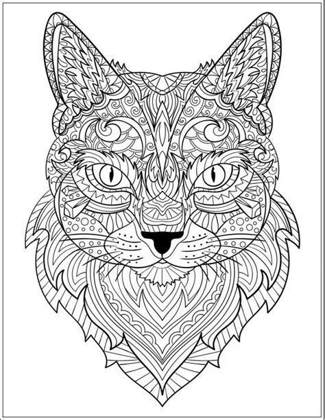 cats coloring pages  adults  getcoloringscom  printable