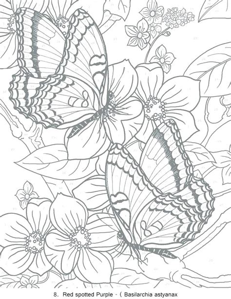 printable coloring pages  adults   printable templates
