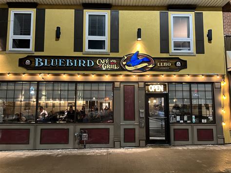 bluebird cafe  review   timeless classic