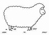 Schafe Schafsnase Kinderbilder Ganzes Schäfchen sketch template