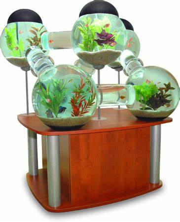 thing to use as a betta aquarium is an aquarium