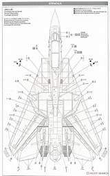 Tomcat Aircraft Grumman Avión 14a Jets Aviones Airplanes sketch template