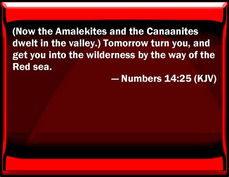 numbers    amalekites   canaanites dwelled
