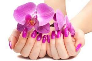 nail salons  perth top rated nail salons