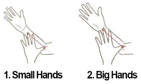 heres   size   hand    personality