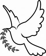 Dove Doves Pinclipart sketch template