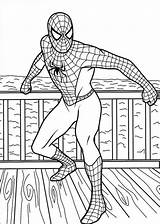 Spiderman Mewarnai Paud Kumpulan sketch template
