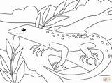 Coloring Lizard Pages Printable Lizards Simple Drawing Paper Categories sketch template