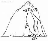Coloring Penguin Pages Color Emperor Penguins Kids Animal Printable Sheets Ice sketch template