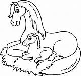 Horse Coloring Pages Baby Mom Printable Getcolorings Color sketch template