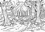 Wald Malvorlage Malvorlagen Natur Klick Immer öffnet Gestaltung Kindgerecht sketch template