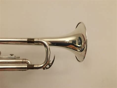 double buzzing problemhow  solve  trumpet