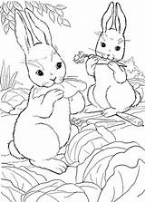 Colorare Conigli Coniglio Disegno Pianetabambini sketch template