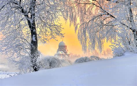 pictures st petersburg russia winter nature snow trees