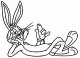 Looney Tunes Toons Speedy Kolorowanka Melodie Zwariowane Gonzales Malowankę Wydrukuj Azcoloring Gemerkt Taz sketch template