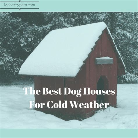 dog house  cold weather moberry pets