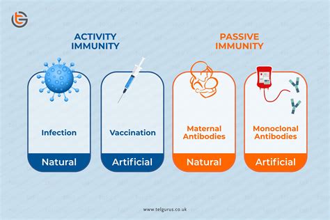 difference  passive  active immunity