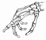 Reaching Squelette Croquis Anatomical sketch template