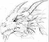 Dragon Drawings Sketch Dragons Head Drawing Cool sketch template