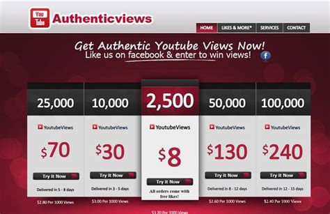 buy youtube subscribers guide reviews