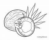 Coloring Coconut Pages Library Clipart Circle sketch template