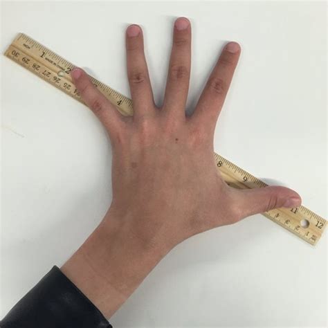 fine donald trump lets measure  hands  washington post
