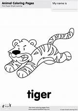 Coloring Tiger Jungle Walking Supersimple Kids Simple Super Pages Animals Worksheets Colouring Animal Flashcards Song Choose Board sketch template