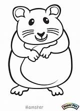Hamster Hamsters Chinchilla Critter Dwarf Unclebills Clipartmag sketch template