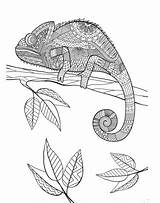 Coloring Pages Mandala Chameleon Animal Printable sketch template
