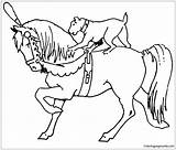 Horse Pages Dog Coloring Color Adults Print sketch template
