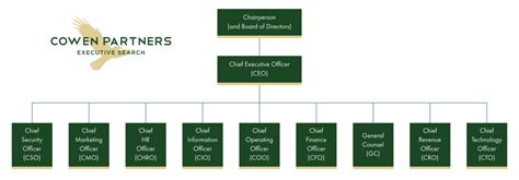 chief operating officer alternative titles