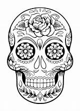 Skull Coloring Pages Human Getcolorings Color Printable sketch template