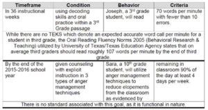 writing goals objectives texas project