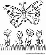 Butterfly Coloring Kelebek Boyama sketch template