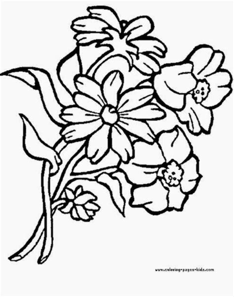 pictures  flowers  color  coloring pictures