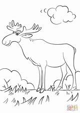 Moose Coloring Cartoon Pages Elk Simple Printable Drawing Template Getdrawings Categories sketch template