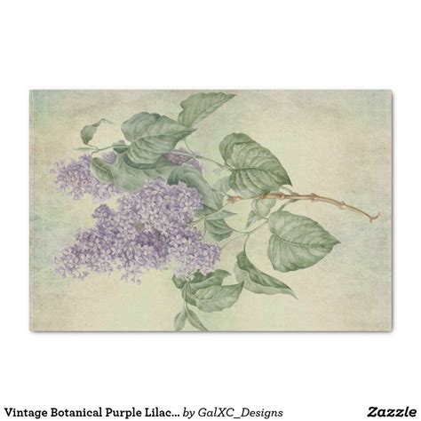 vintage botanical purple lilac syringa vulgaris tissue paper zazzlecom vintage botanical
