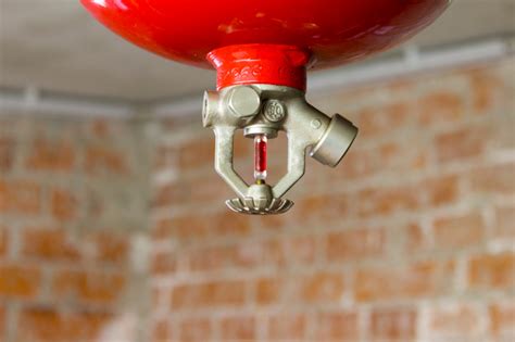 entrepreneurs   invest  sprinkler systems milky homes