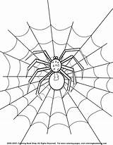 Spider Colorare Ragni Spiders Aranha Aranhas Coloriage Pintar Huge Pintarcolorir Sheets Coloring sketch template