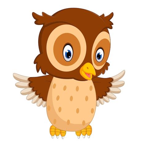 premium vector cute owl cartoon