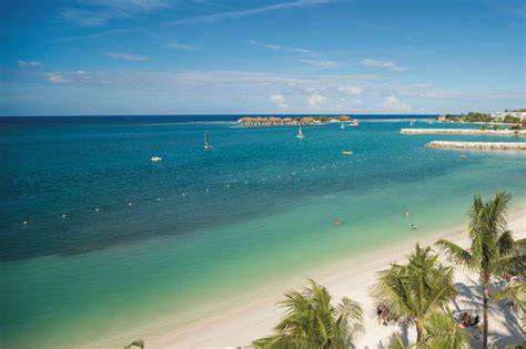 riu reggae montego bay montego bay riu reggae all inclusive adults only